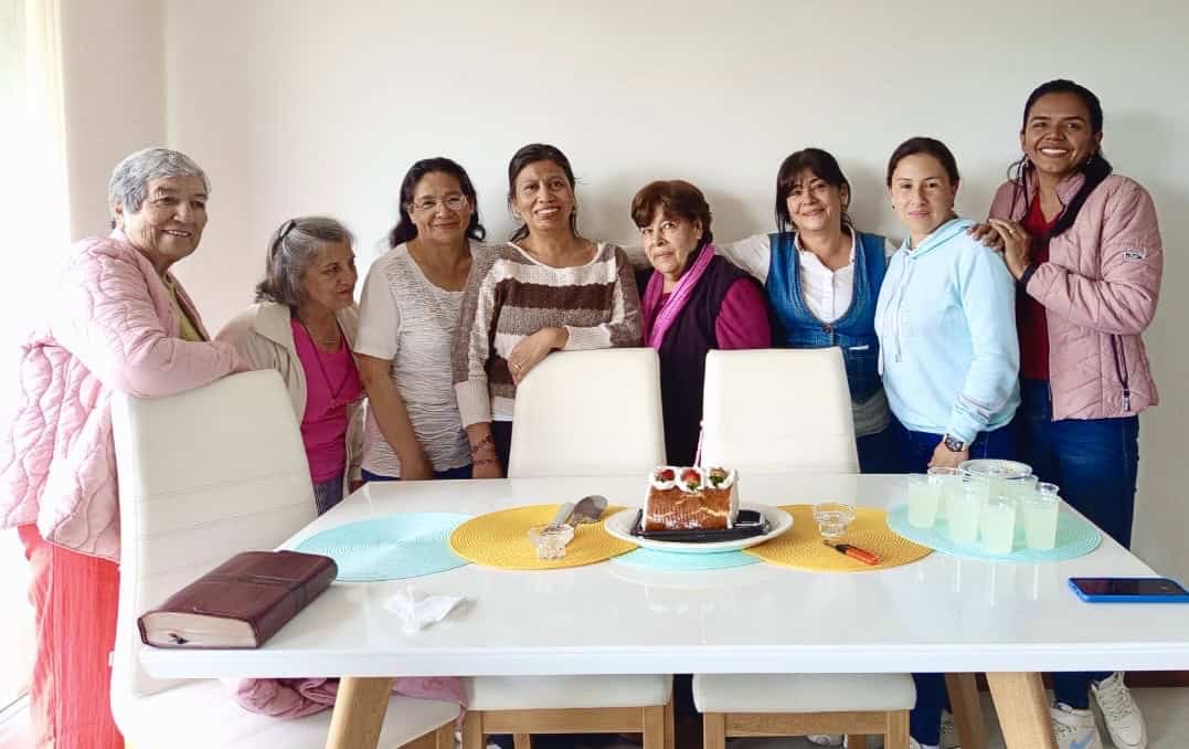 Ministerio de Ayudas IBNV